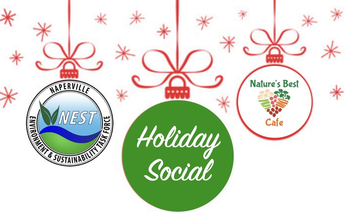 NEST Holiday Social