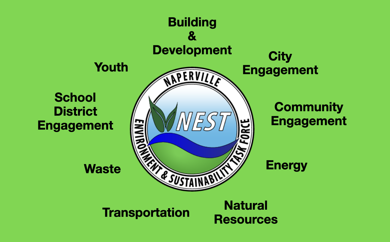 Exploring Sustainability Opportunities with NEST